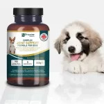 Dog-Joint-Supplement-600×600-1.webp