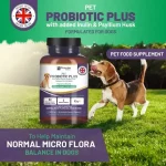 pet-probiotic-plus-600×600-1.webp