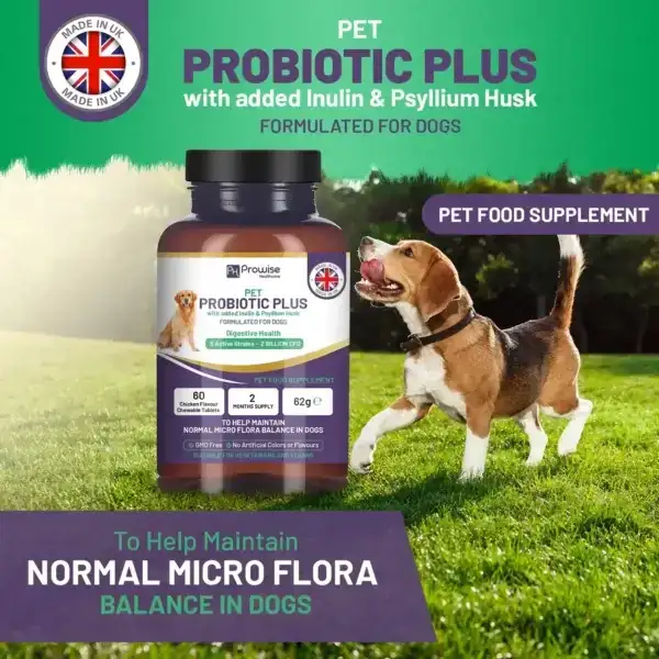 pet-probiotic-plus2-600x600-1.webp